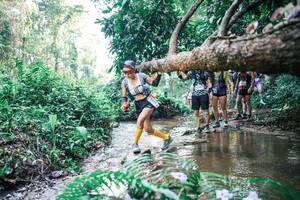 BIB: 
                            <button type="button" onclick="openModal(25461946)" class="btn btn-primary btn-sm float-right btn-popup" data-toggle="modal" data-target=".modal-high-quality">
                        <i class="fas fa-shopping-cart"></i> Add to Cart
                    </button>
                                            <button type="button" onclick="isThisMe(25461946, true)" class="btn btn-success btn-sm float-right btn-popup btn-isme hidden" data-toggle="tooltip" data-placement="bottom" title="นี่คือรูปของคุณใช่ไหม คลิกที่นี่เพื่อเอาเข้าอัลบั้ม">
                        <i class="fas fa-plus"></i> Add to album
                    </button>
                    <button type="button" onclick="isThisMe(25461946, false)" class="btn btn-warning btn-sm float-right btn-popup btn-isnotme hidden">
                        <i class="fas fa-ban"></i> Remove from album
                    </button>